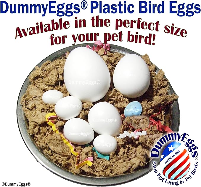 4 Medium Parrot Control Laying! 1.5" x 1.25" (3.7 x 3cm) Non-Toxic Solid Plastic Fake Bird Eggs African Grey, Eclectus, Azn, Small Cockatoo or Macaw. Ship Fast!