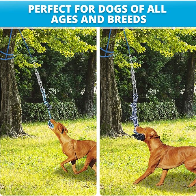 Spring Pole Dog Rope Toys: Dog Rope Pull & Tug of War Toy with a Big Spring Pole Kit & 2 Strong Dog Rope Toys & 16ft Rope - Muscle Builder Interactive Dog Toy for Pitbull Medium Large Dog Alaska