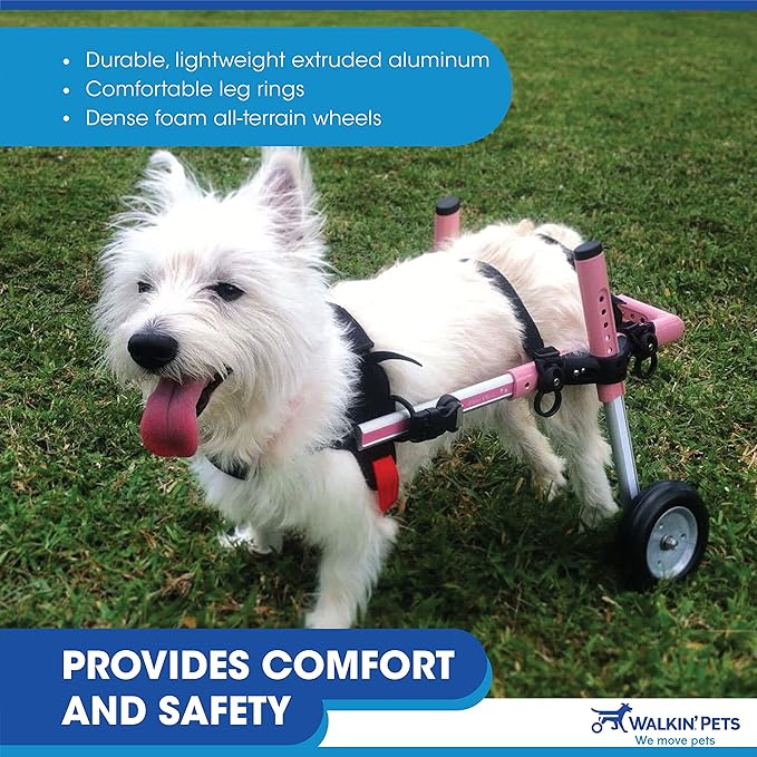 Walkin' Wheels Small Dog Wheelchair, Lightweight Dog Wheelchair for Back Legs, 15-25 lbs, for 9-11 inches Leg Height - Seafoam