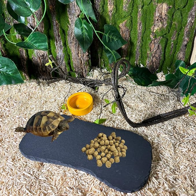 Tfwadmx Reptile Basking Platform,11''x5.5'' Tortoise Rock Plate Feeding Food Bowl Dish Feeding Slate Turtle Bathing Resting Platform for Lizard Gecko Bearded Dragon Chameleon Snake Frog