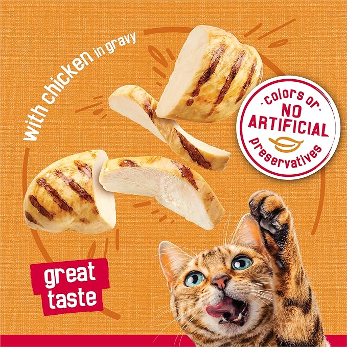 Purina Friskies Gravy Wet Cat Food, Prime Filets With Chicken - (Pack of 24) 5.5 oz. Cans
