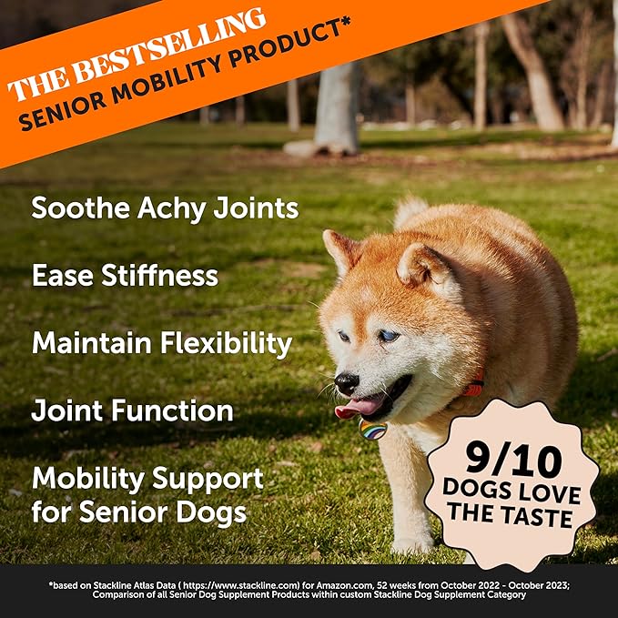 Pet Honesty Senior Hemp Hip & Joint Support, Hemp for Dogs, Mobility Support for Senior Dogs, Hemp Oil & Powder, Glucosamine, Collagen, MSM, Green Lipped Mussel, Helps Discomfort (Peanut Butter, 90)