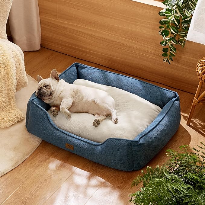 Bedsure Washable Dog Bed for Medium Dogs - Waterproof All-Season Foam Puppy Beds, Orthopedic Rectangle Cuddle Indoor Cat Beds with Removable Zipper Cover, 30x24x9inches, Blue