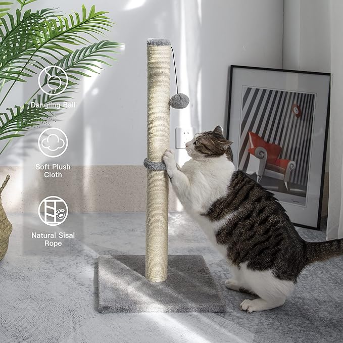 29 Inches Cat Scratching Post, Cat Scratch Post Kitten Scratcher with Sisal Rope, Scratching Post for Indoor Cats with Hanging Ball
