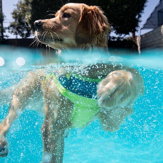 Outward Hound Standley Sport Green Performance Dog Life Jacket, Large
