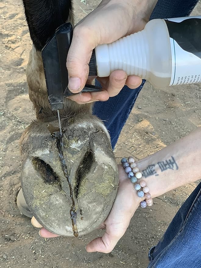 Horse Hoof Cleaner, Thrush and White Line Treatment for Horses, Hoof Cleanse, All Natural Horse Hoof Care Products to Maintain A Healthy Hoof