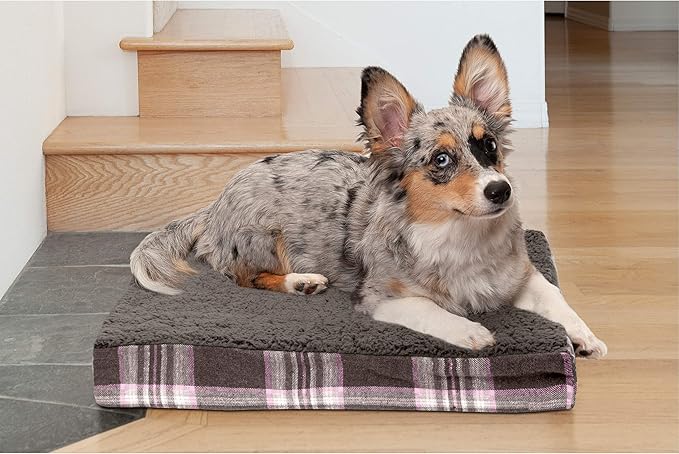 Furhaven Memory Foam Dog Bed for Small Dogs w/ Removable Washable Cover, For Dogs Up to 20 lbs - Sherpa & Plaid Flannel Deluxe Mattress - Java Brown, Small