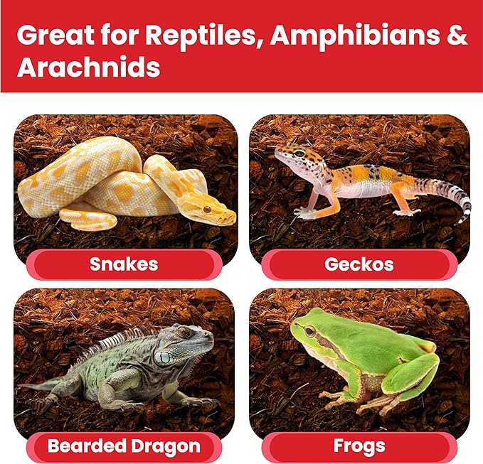 ReptiCare Compressed Coconut Chip Substrate for Reptiles 64 Quart Coco Husk Bedding Block for Ball Pythons, Snakes, Tortoises, Crested Geckos, Frogs, Hermit Crabs or Lizard Terrarium Tanks