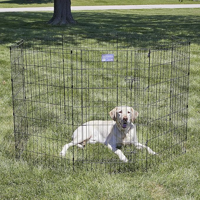 MidWest Homes for Pets Foldable MetalDog Exercise Pen / Pet Playpen, Black w/ door, 24'W x 42'H