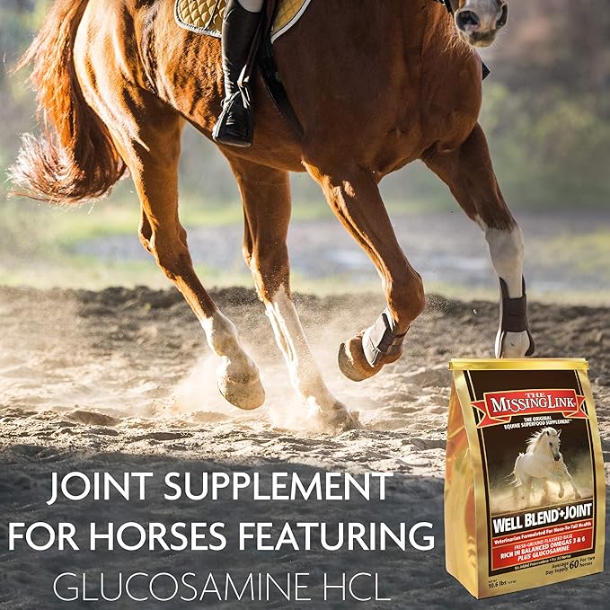 The Missing Link Equine Well Blend + Joint Superfood Supplement Powder, 10.6 lb. Bag / 120 Day Supply
