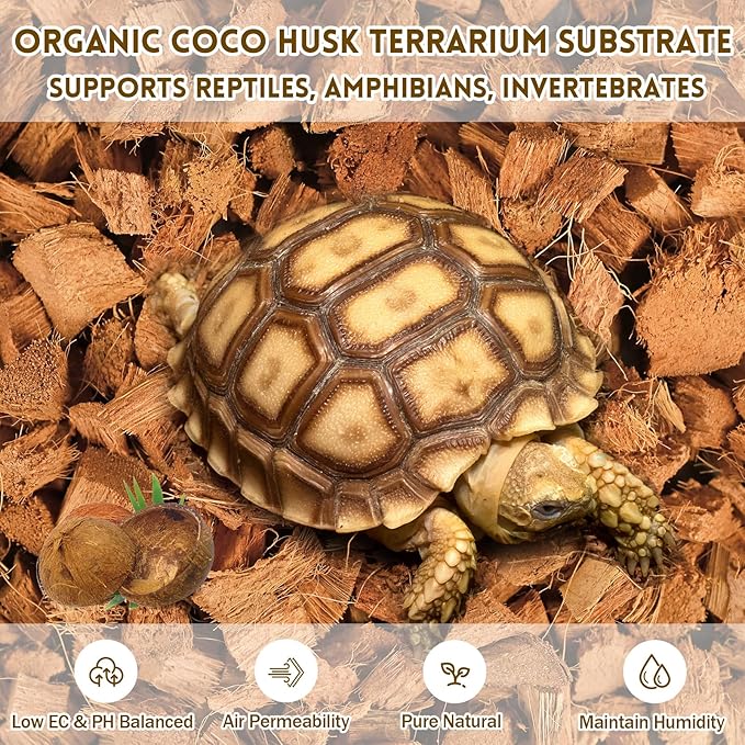 Coconut Chip Substrate for Reptile 60 Quart Natural Loose Coco Husk Chip Reptile Substrate Bedding for Snakes, Lizards, Gekos, Toad, Tortoise, Ball Pythons, Frogs, Amphibians Terrarium Tanks