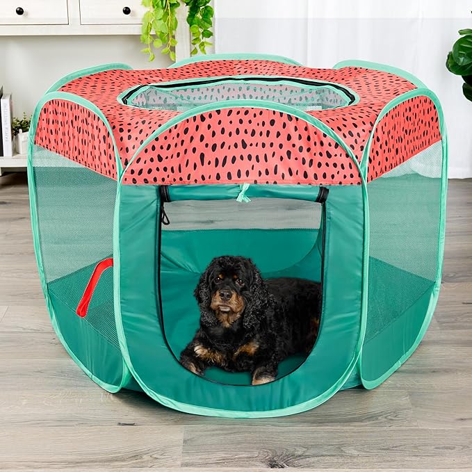 Furhaven Pop Up Playpen Pet Tent Playground - Green & Pink, Medium