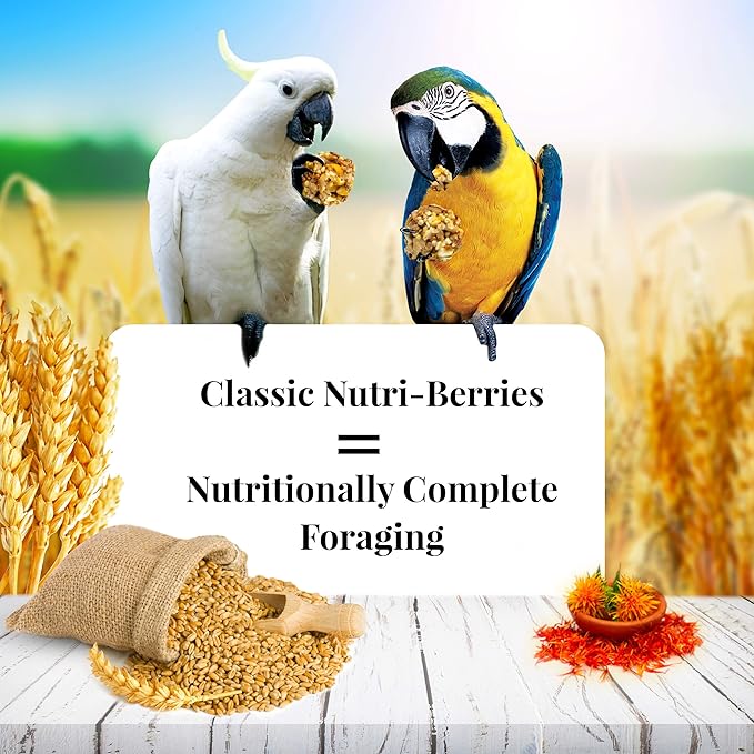 LAFEBER'S Classic Nutri-Berries Pet Bird Food, Made with Non-GMO and Human-Grade Ingredients, for Macaws and Cockatoos, 14 lb