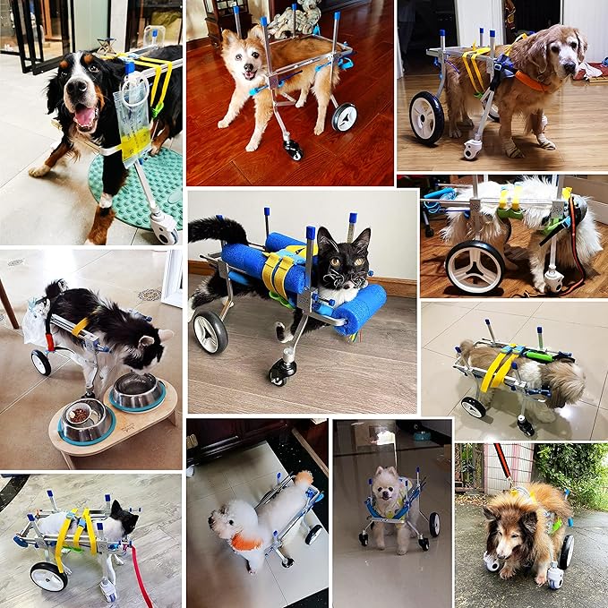Adjustable 4-Wheel Dog Cart/Wheelchair, Animal Exercise Wheels，for Pet/Doggie Wheelchairs with Disabled Hind Legs Walking，Light Weight, Easy Assemble(7-Size) (M)