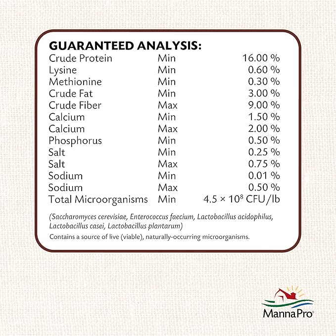 Manna Pro All Flock Crumbles | 16% Protein Level | Complete Feed for Chickens, Ducks, Geese, Turkeys and Gamebirds | Probiotics to Support Digestion | Crumbled Form for Easy Feeding | 8 Pounds