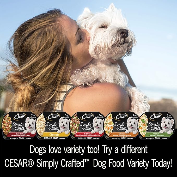 CESAR SIMPLY CRAFTED Adult Soft Wet Dog Food Meal Topper Beef, Chicken, Purple Potatoes, Green Beans & Red Rice, 1.3 oz. Tubs, (Pack of 10)