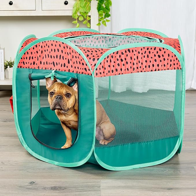 Furhaven Pop Up Playpen Pet Tent Playground - Green & Pink, Small