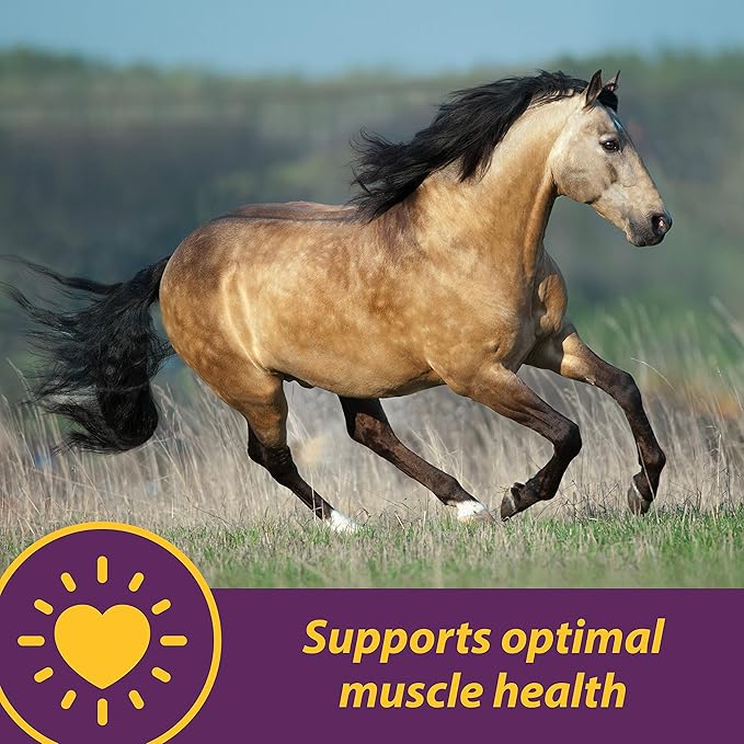 Farnam Horse Health Vita E & Selenium Crumbles Horse Vitamin Supplement, Supports optimal muscle health and antioxidant support, 20 lbs., 640 day supply