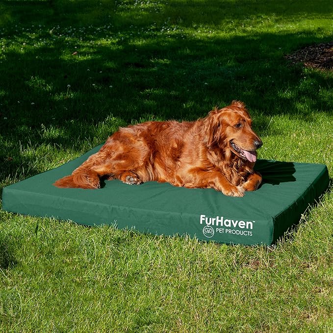 Furhaven Water-Resistant Cooling Gel Dog Bed for Large Dogs w/ Removable Washable Cover, For Dogs Up to 95 lbs - Indoor/Outdoor Logo Print Oxford Polycanvas Mattress - Forest, Jumbo/XL