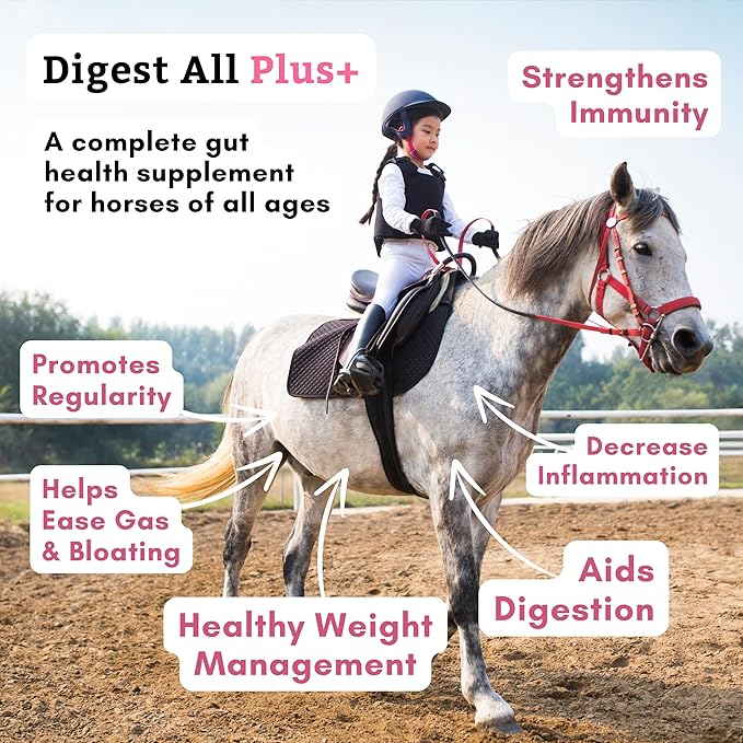 Wholistic Pet Organics Digest-All Plus: Horse Probiotics Powder - 1 Lb - Equine Probiotics and Prebiotics with Digestive Enzymes - Equine Digestive Supplements for Gas, Constipation and Gut Health