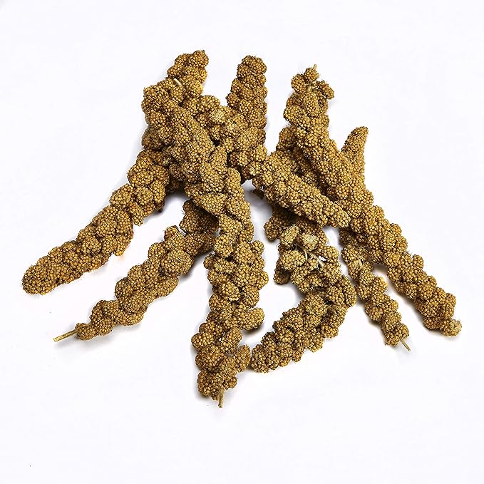 Kaytee Spray Millet Treat for Pet Birds, 7 Ounce