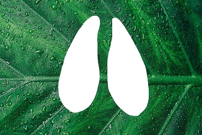 Deer Hoof Prints Design Stencil, 4-Inch, Reusable Mylar Cutout for Nature-Themed Art, Crafts & DIY Projects