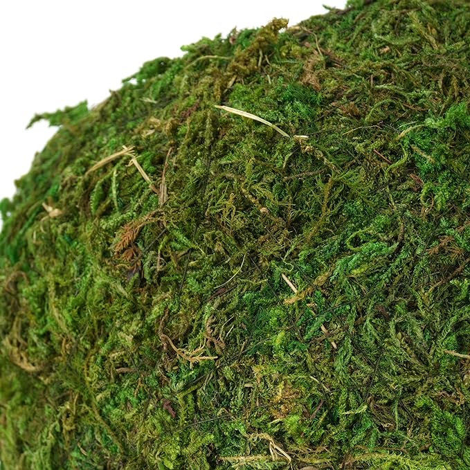 Mossy Caves, Artificial Green Moss Caves Hide for Pet Reptile Frogs and Snakes, Terrarium & Vivarium Decor, Crested Gecko Tank Decor (4" - Woodland Green)