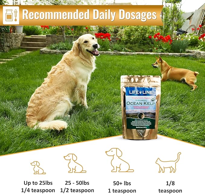 Life Line Pet Nutrition Organic Ocean Kelp Supplement for Skin & Coat, Digestion in Dogs & Cats, 8oz (20200)