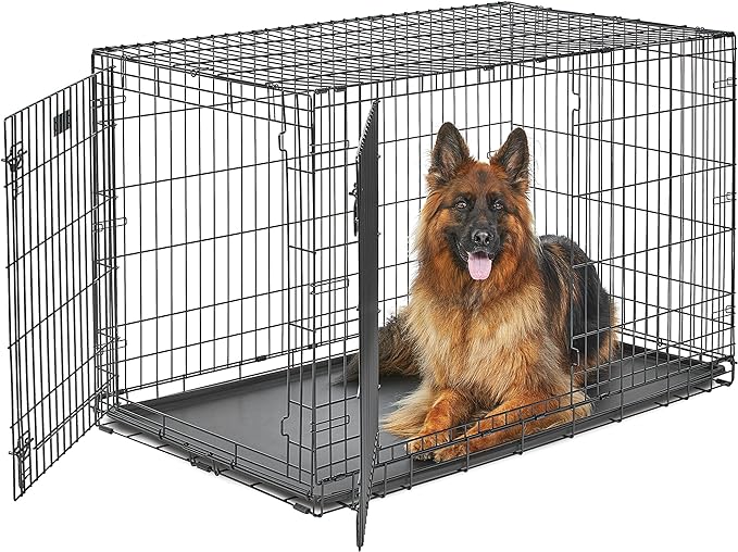 MidWest Homes for Pets XL Dog Crate | MidWest Life Stages Double Door Folding Metal Dog Crate | Divider Panel, Floor Protecting Feet, Leak-Proof Dog Pan | 48L x 30W x 33H Inches, XL Dog Breed