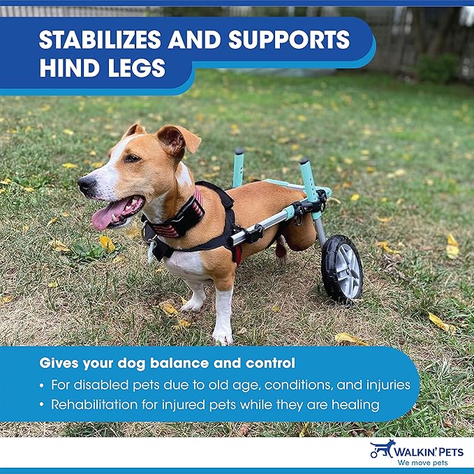 Walkin' Wheels Small Dog Wheelchair, Lightweight Dog Wheelchair for Back Legs, 11-14 lbs, for 3-6 inches Leg Height - Blue