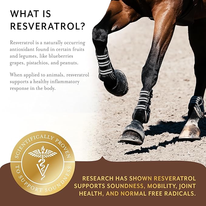 Equithrive Complete Joint Supplement Pellets with Resveratrol, Glucosamine, Chondroitin, Hyaluronic Acid and MSM for Horses, 1.65 lbs