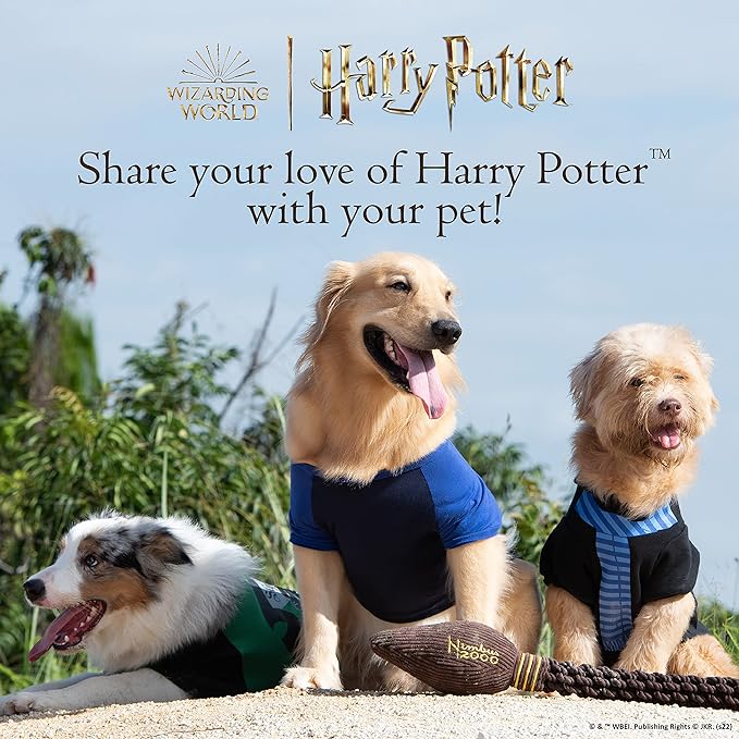 Harry Potter 2 Piece Dog Toy Set 6" You Know Who Plush Figure Toy and Dark Arts Plush Silhouette Flat Toy Official Pet Toys and Accessories | Voldemort Dog Toy (FF22715)