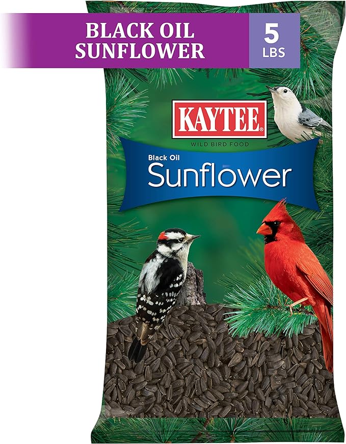 Kaytee Wild Bird Black Oil Sunflower Food, 5 Pounds