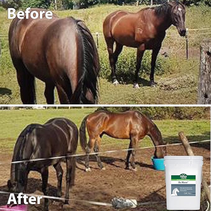 Equitec Re Move - Horse Supplements That Support The Body's Normal Process to Remove Ingested Toxins, Contains Probiotics - 8.8 lb