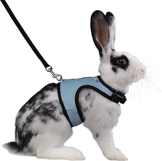 Niteangel Adjustable Soft Harness with Elastic Leash for Rabbits (L, Blue)