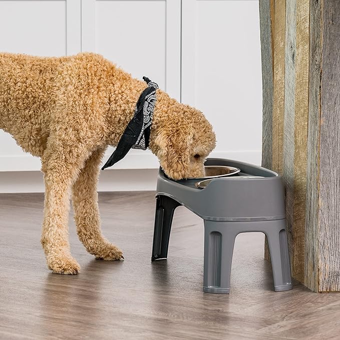 IRIS USA Elevated Dog Bowls, Adjustable Height, 2 Thick 64 oz Stainless Steel Bowls, Spill-Proof with Raised Outer Rim, Durable Made in USA Plastic, Easy Assemble, 2 Heights 4.63" or 12.25" Dark Gray