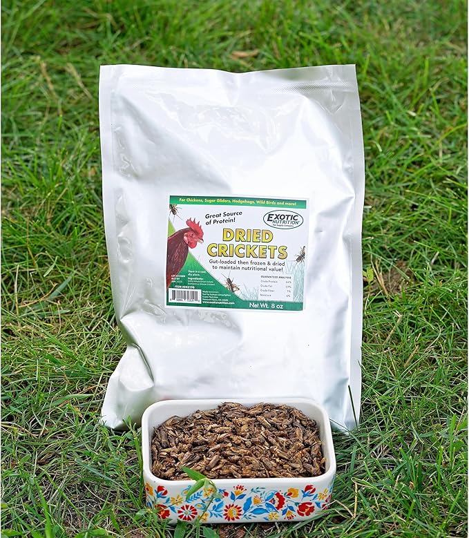 1 Pound Dried Crickets - High Protein Insect Treat - Chickens, Wild Birds, Hedgehogs, Bluebirds, Reptiles, Sugar Gliders, Opossums, Skunks, Lizards, Bearded Dragons, Fish, Turtles 8 oz. (2 Pack)