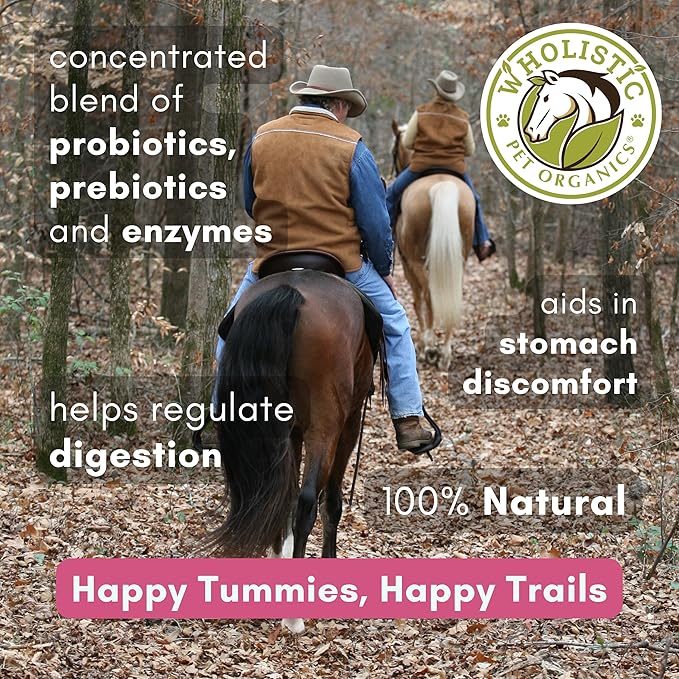 Wholistic Pet Organics Digest-All Plus: Horse Probiotics Powder - 1 Lb - Equine Probiotics and Prebiotics with Digestive Enzymes - Equine Digestive Supplements for Gas, Constipation and Gut Health