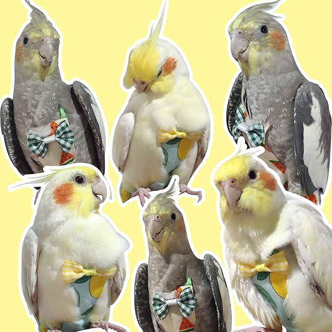 Bird Diaper Harness Flight Suit Clothes with 80 Inch Flying Leash Rope for Parrots Conure Cockatiel Pet Birds Weight 80-105 Grams, M Size Denim, Including A Cotton Pad