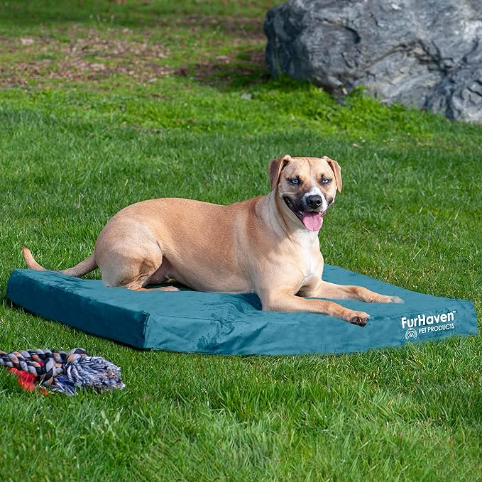 Furhaven Water-Resistant Cooling Gel Dog Bed for Large/Medium Dogs w/ Removable Washable Cover, For Dogs Up to 55 lbs - Indoor/Outdoor Logo Print Oxford Polycanvas Mattress - Deep Lagoon, Large