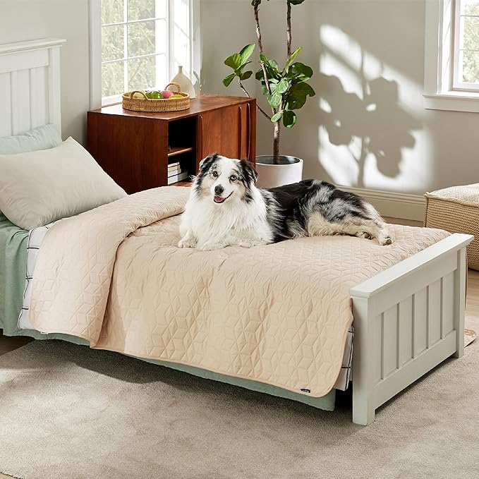 Bedsure 100% Waterproof Bed Cover for Dogs Washable - Non Slip Waterproof Dog Blanket for Bed, Lightweight Furniture Protector Durable for Pet Cat Puppy with Non-slip Bottom, Beige, 82x82IN