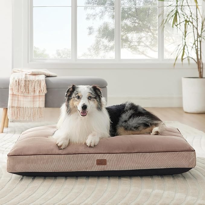 Bedsure Waterproof Dog Beds for Extra Large Dogs - 4 inch Thicken Up to 100lbs XL Dog Bed with Removable Washable Cover, Pet Bed Mat Pillows, Taupe