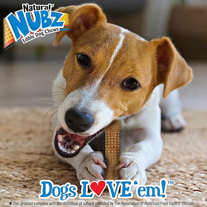 Nylabone Nubz Natural Edible Chew Treats for Dogs, Made in USA, Chicken Flavor, Small - Up to 25 lbs. (8 Count)