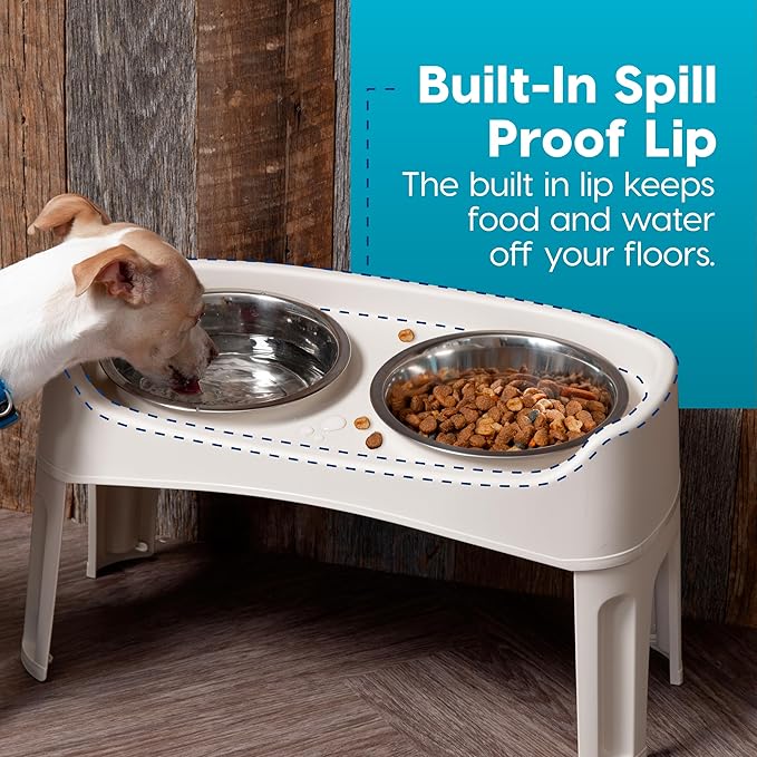 IRIS USA Elevated Dog Bowls, Adjustable Height, 2 Thick 64 oz Stainless Steel Bowls, Spill-Proof with Raised Outer Rim, Durable Made in USA Plastic, Easy Assemble, 2 Heights 4.63" or 12.25" Almond