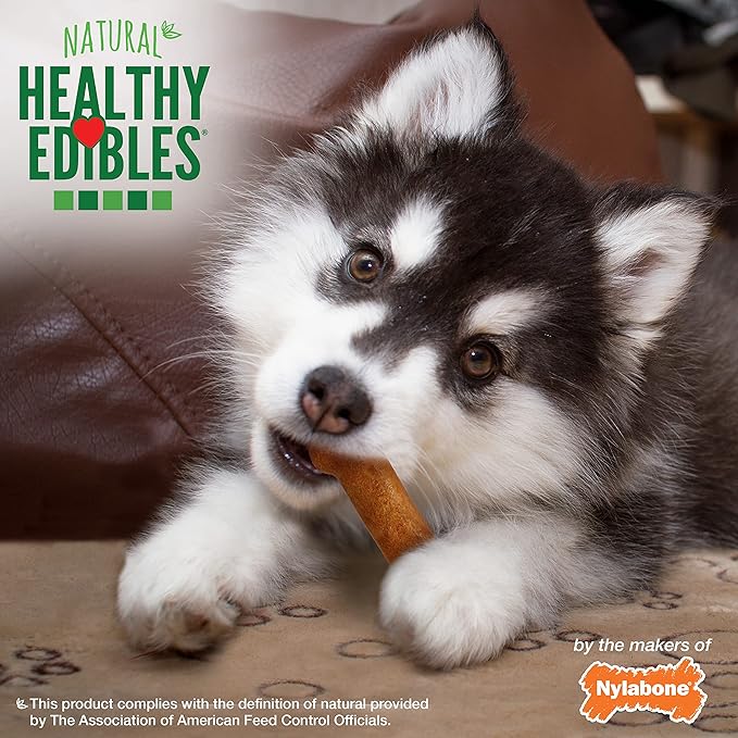 Nylabone Healthy Edibles Natural Puppy Chews Long Lasting Turkey & Sweet Potato Flavor Treats for Dogs, Small/Regular (8 Count)