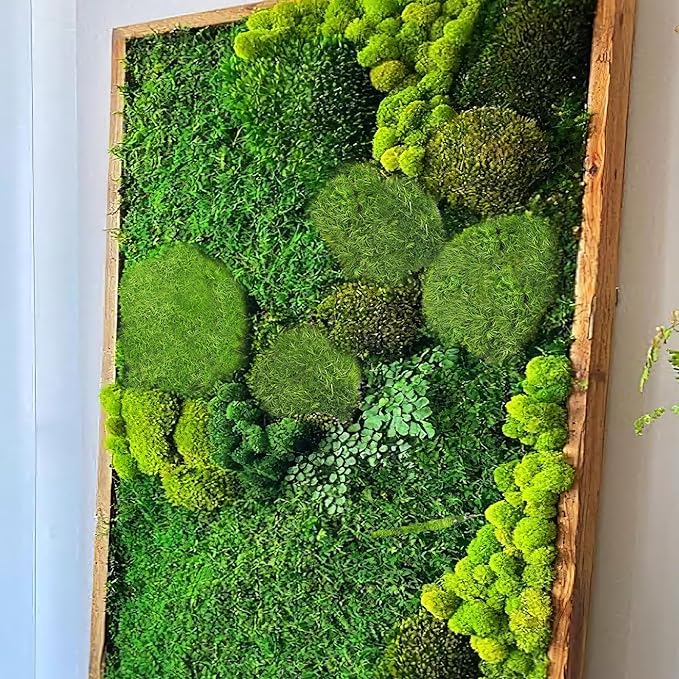 FAICOIA Preserved Pillow Moss Bulk Green Moss Balls for Bowls Natural Green Decorative 1.29 sq.ft Preserved Pole Moss Pillow for Wall Art Terrariums Crafts Fairy Gardens Pot Plants Easter Table Decor