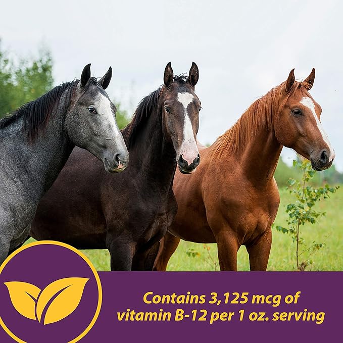 Horse Health Vita B-12 Crumbles Supplement for Horses, Supports red Blood Cell Production for Peak Performance, 3 pounds, 48 Day Supply (Pack of 2)