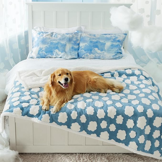 Lesure Waterproof Dog Blanket for Large Dogs - Washable Double Sided Dog Blankets with Warm Jacquard Shag and Soft Sherpa Fleece, Pet Cat blanket for Bed Protection, 3D Textured Cloud, Blue