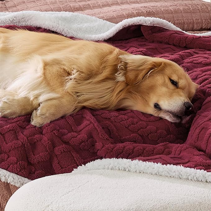 Bedsure Waterproof Dog Blankets for Large Dogs - Pet Blanket for Bed Couch Protector Washable, Premium Jacquard Coral Fleece Cat Throw Blanket, Soft Reversible Furniture Protection, 60x80, Burgundy