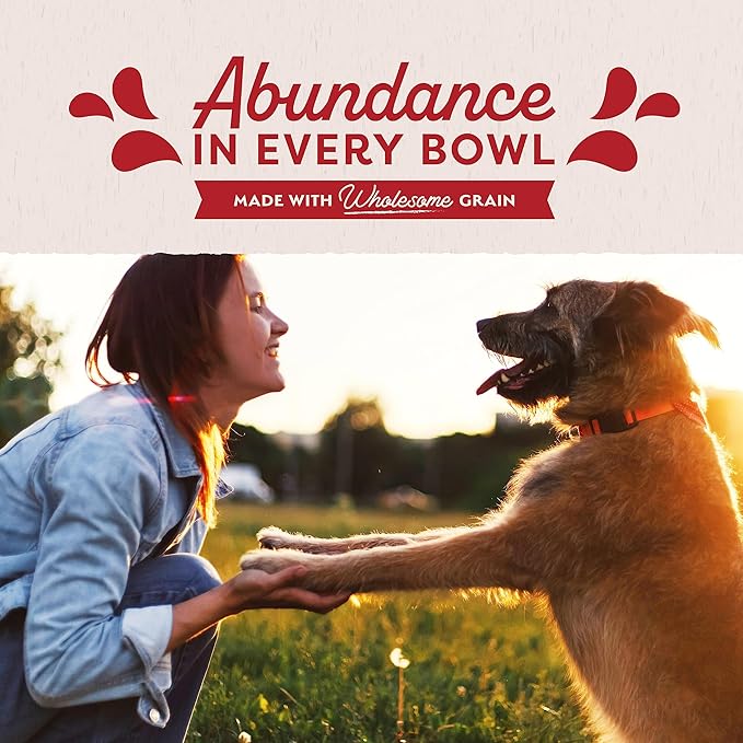 Natural Balance Ultra Premium Wet Dog Food, Beef Formula with Potatoes, Carrots & Brown Rice, 13 Ounce Can (Pack of 12)